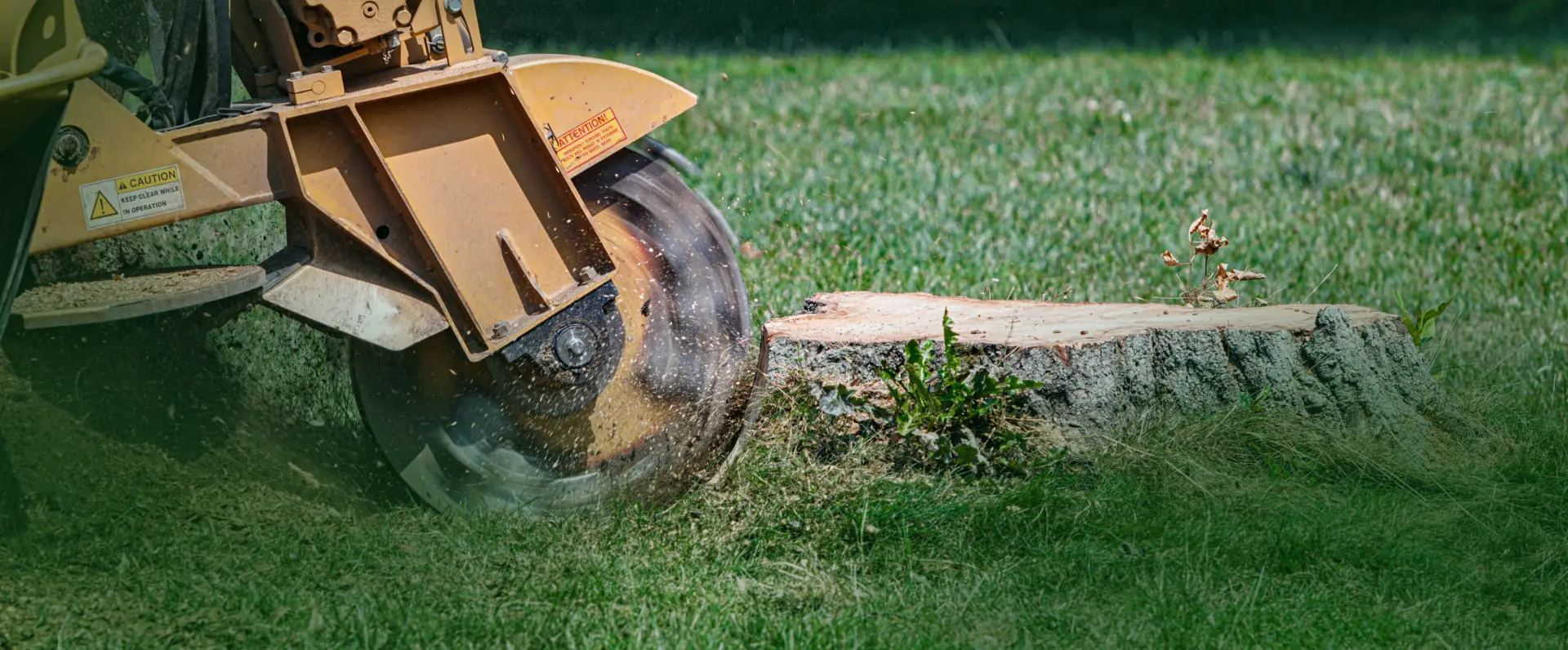 Stump Grinding